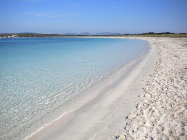 spiaggia di espalmador