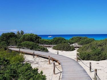 pasarela de madera formentera