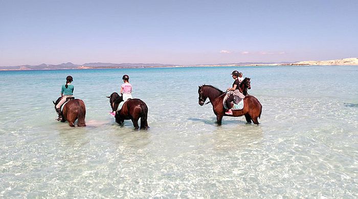 formentera on horseback