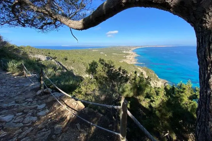 cami de sa pujada formentera