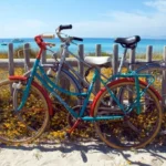 what to do in formentera